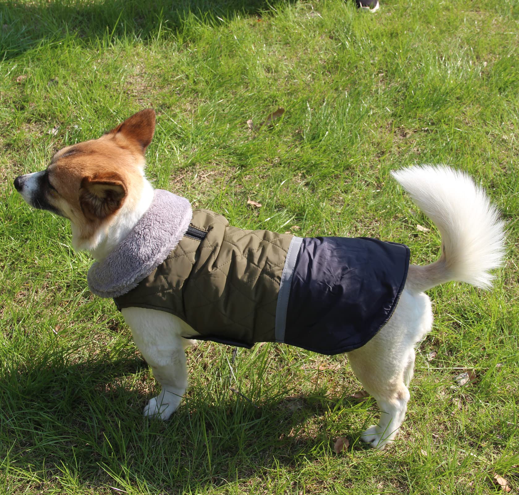 Waterproof Reversible Fleece Dog Coat for Small Dogs - Warm Puppy Jacket for Cold Winter (Green) | Perfect for Outdoor Walks, Winter Adventures & Indoor Comfort
