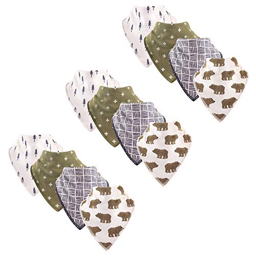 Bears 12-pack