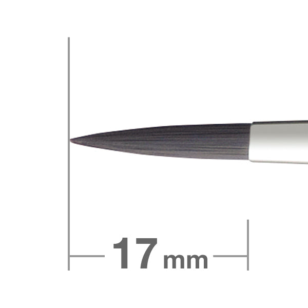 Professional Series 6 PH Long-Lasting Waterproof Eyeliner Pencil [HC1556] - Perfect for Day & Night Makeup, Parties & Special Occasions