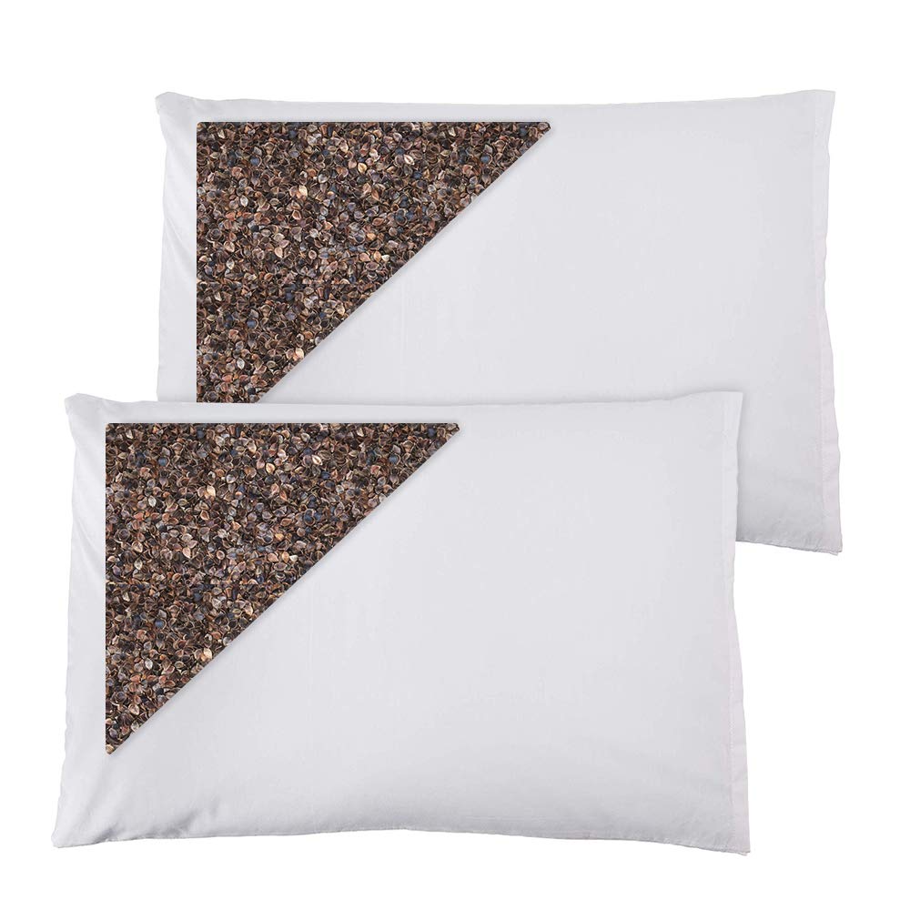 Daiwa Felicity 100% Natural Premium Buckwheat Sobakawa Pillow with Removable Cover - 2 Pack for Neck Pain Relief & Better Sleep - Ideal for Side Sleepers, Back Pain Sufferers & Hot Sleepers
