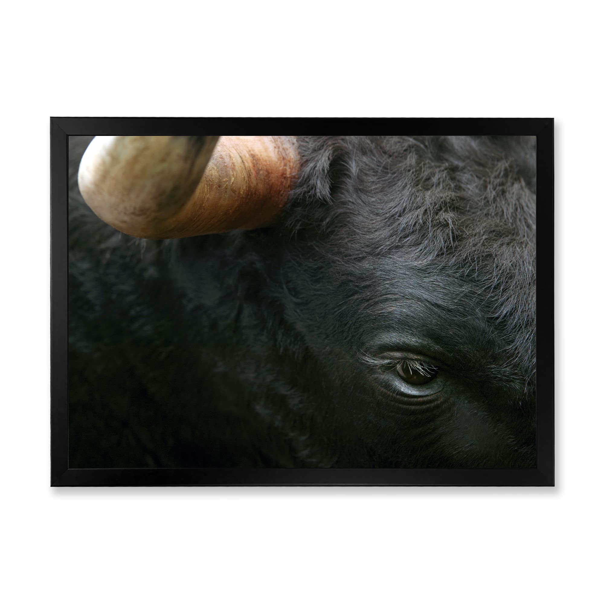 DesignQ Fighting Bull Head Close-Up Eye Farmhouse Framed Wall Art - Rustic Home Decor for Living Room, Bedroom & Office