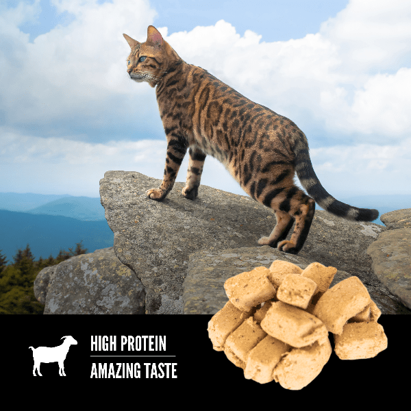 Orijen Tundra Freeze-Dried Cat Treats - High Protein Grain-Free Natural Cat Snacks for Indoor & Outdoor Cats - Perfect for Training, Rewards, and Travel