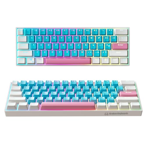 CANDY PAINT | Silver Switches