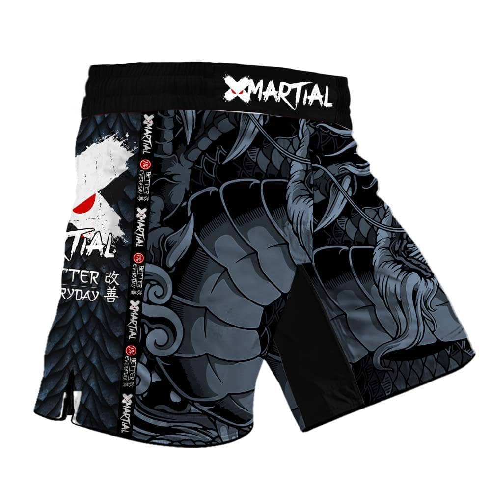 Heilong Dragon 2.0 Hybrid MMA Shorts - Lightweight & Breathable Training Shorts for MMA, BJJ, Muay Thai & Combat Sports - Perfect for Gym, Sparring & Competition