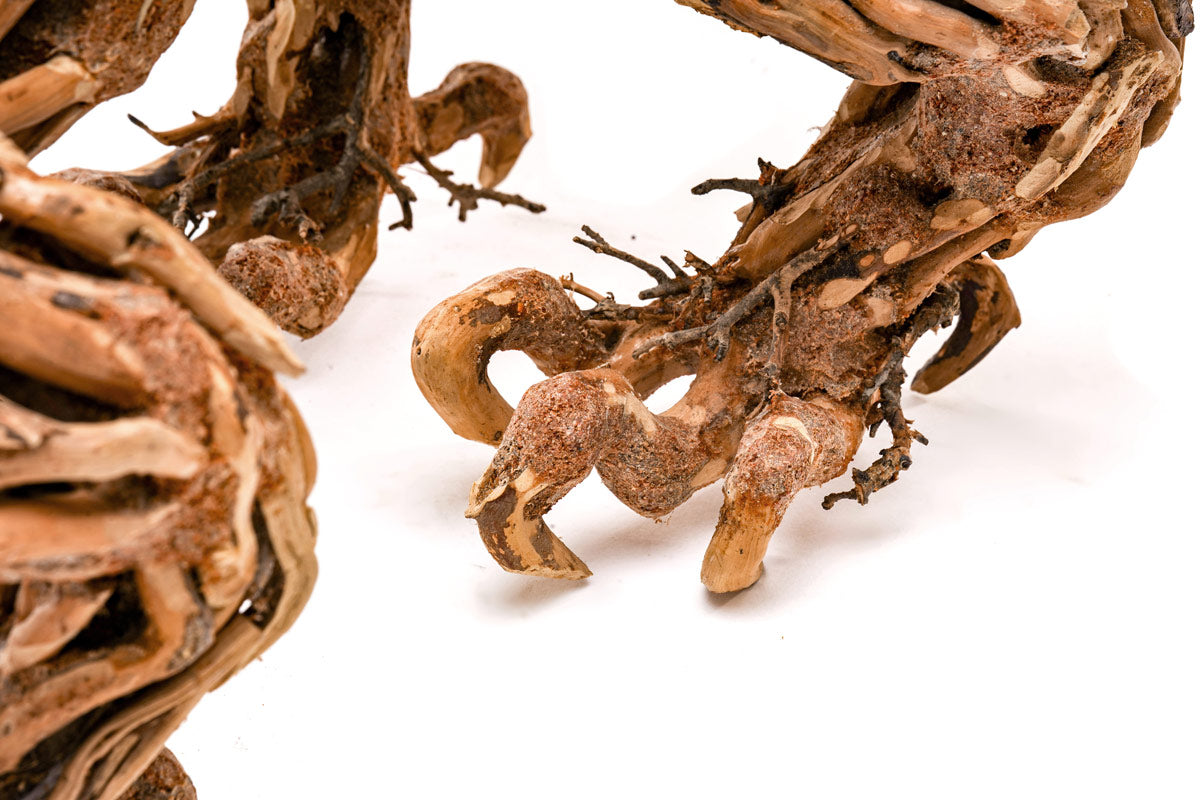 Premium Uns Bonsai 010 - Handcrafted Miniature Tree for Home & Office Decor | Perfect for Zen Gardens, Gifts, and Indoor Plant Lovers