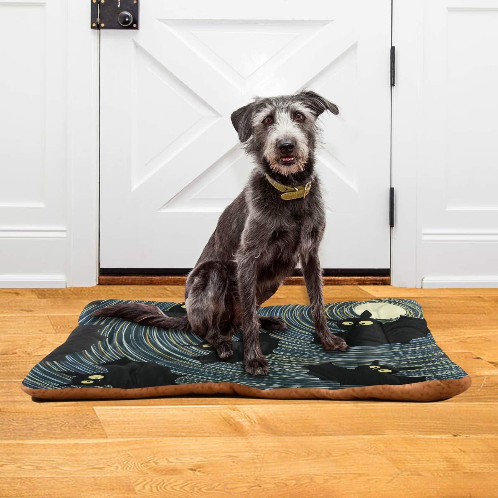 **Halloween Bat Black Dog Bed - Ultra Soft Rectangle Pet Bed for Small, Medium & Large Dogs & Cats - Calming Comfortable Bed 36x24 Inches - Perfect for Halloween Decor & Cozy Pet Nap Time**