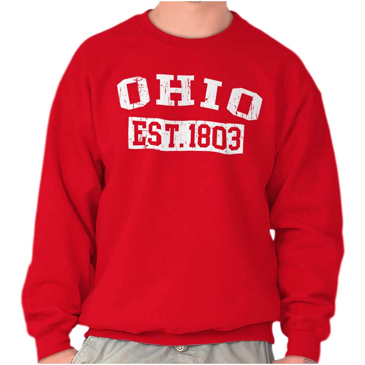 Vintage Ohio Distressed Established Sweatshirt - Unisex Retro Pullover for Men & Women | Soft Cotton Hoodie for Casual Wear, Street Style & College Outfits