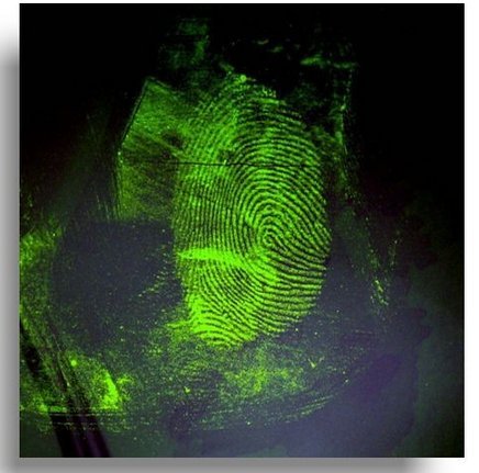 GOWE Portable LED Forensic Light Source Kit - Full Spectrum Multi-LED Crime Scene Investigation Tool for Fingerprint Detection, Blood Stain Analysis & UV Inspection | Ideal for Law Enforcement, CSI Teams & Forensic Labs