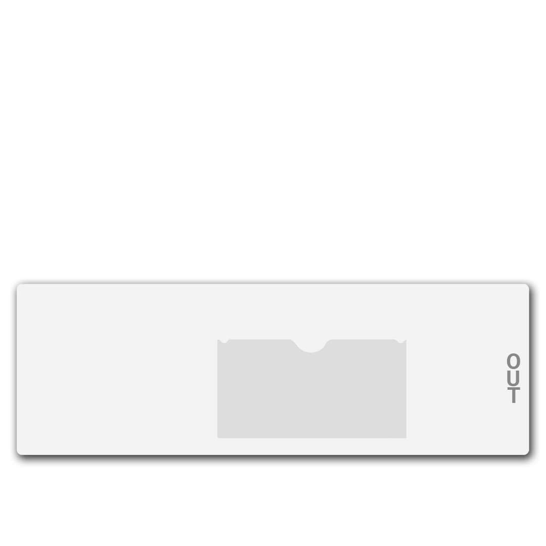 Economy Vinyl Outguides with Charge Out Slip Pocket - Letter Size 4