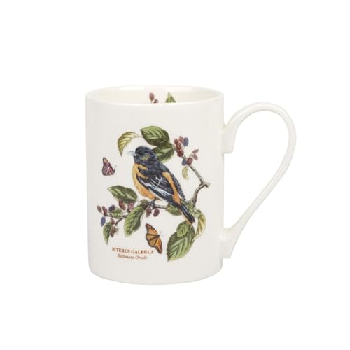 Baltimore Oriole