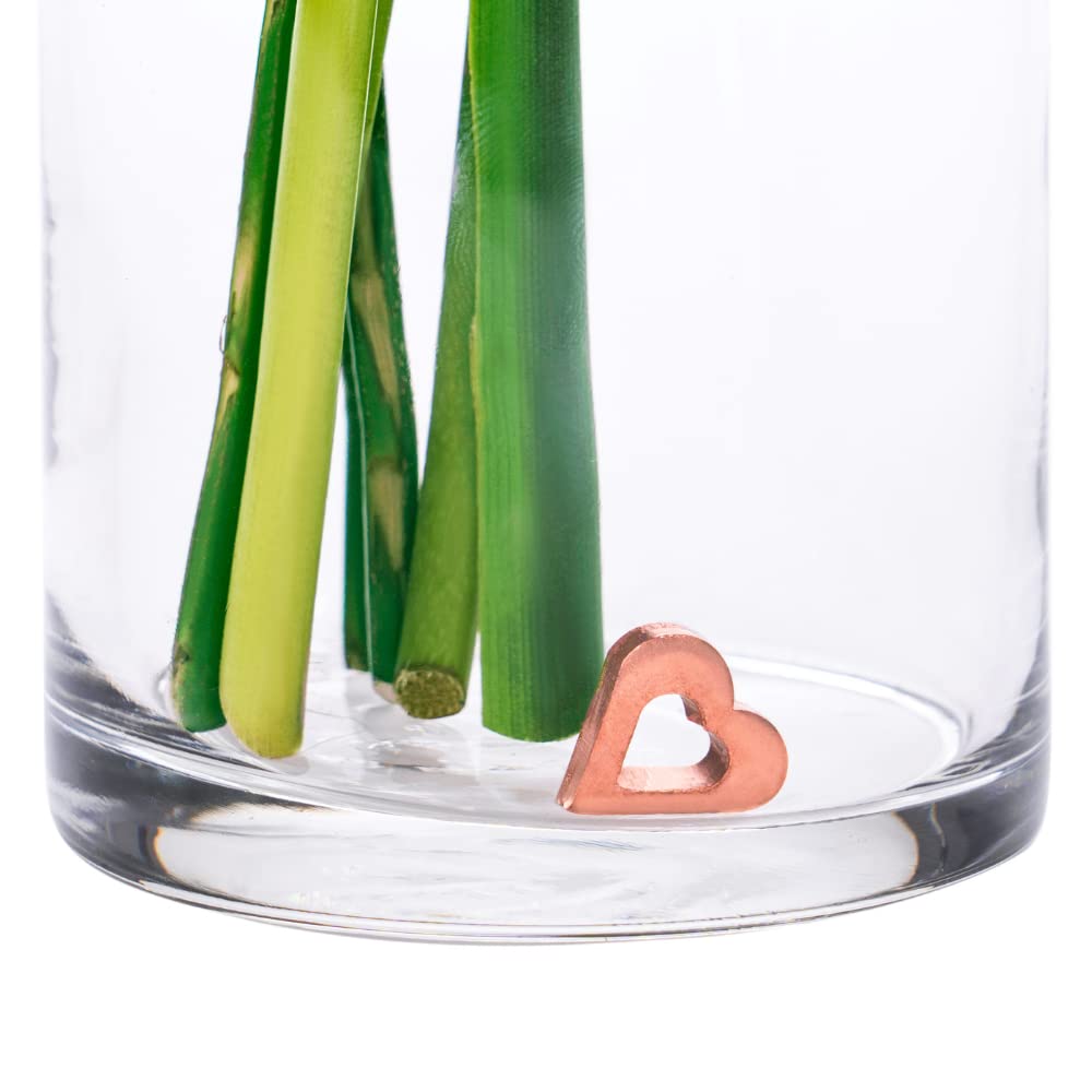 Fresh Cut Flower Food - Alternative to Flower Food Packets | Keeps Flower Water Clean & Clear with Copper Charm | Perfect for Vases, Bouquets, and Floral Arrangements