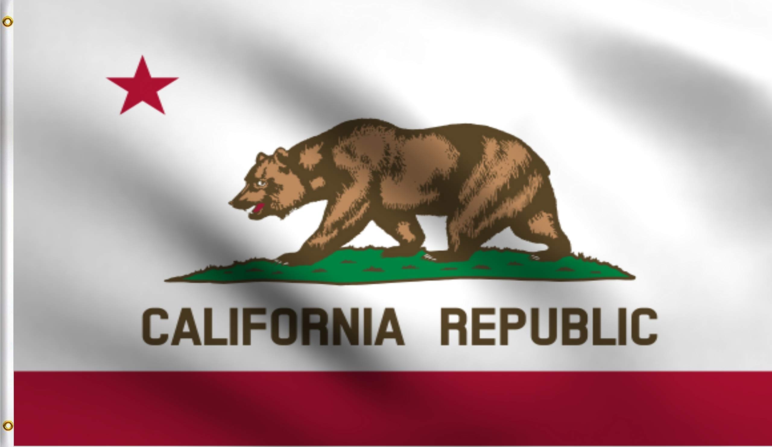 DMSE California State Bear Flag 2x3 Feet - 100% Polyester 100D UV Resistant Outdoor Flag - Perfect for Backyard, Garden, and Patriotic Decorations