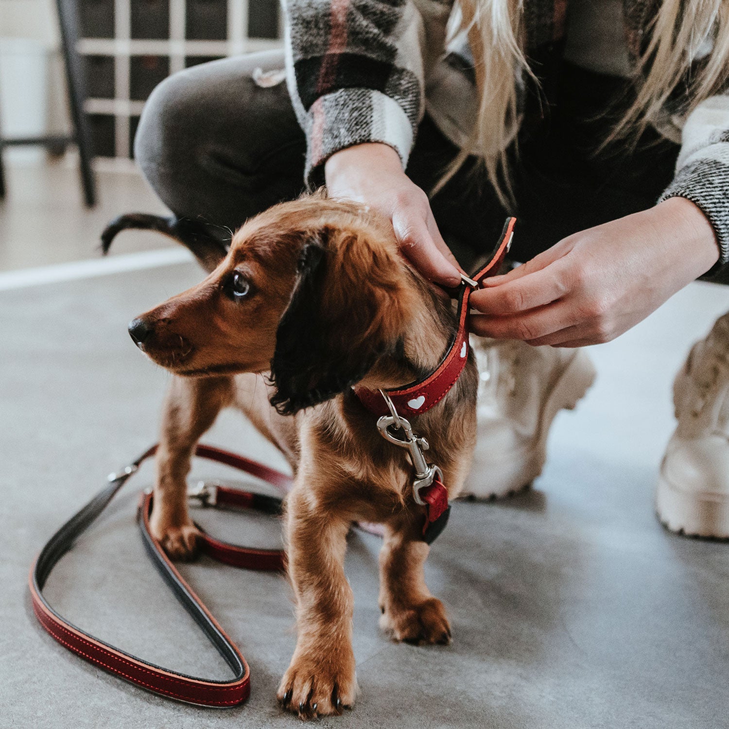 Alpen LOVE Leashes - Premium Dog Leashes for Small & Medium Dogs - Durable & Comfortable for Walking, Training & Outdoor Adventures