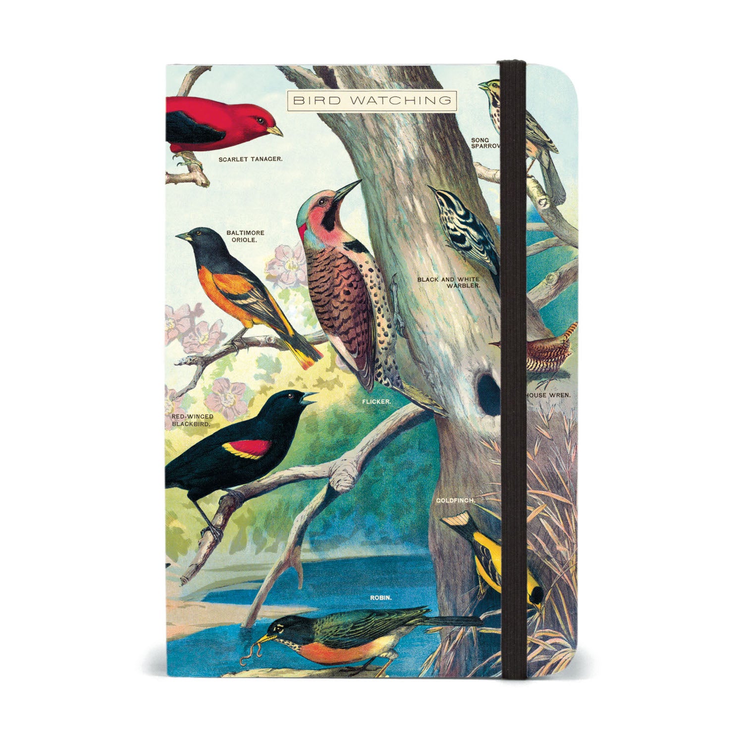 Bird Watching Journal - Small Notebook for Birders & Nature Enthusiasts - Perfect for Field Notes, Bird Identification & Outdoor Adventures