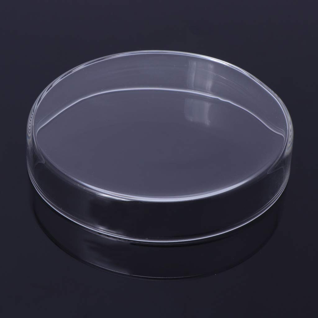 Premium Glass Shrimp Feeding Dish - 9cm/3.54in Aquarium Fish Tank Feeder Bowl for Shrimp Food | Perfect for Nano Tanks, Shrimp Colonies & Delicate Feeders