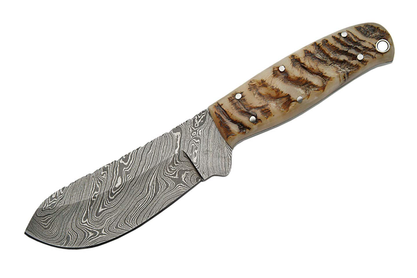 Premium Damascus Steel Hunting Knife with Ram Horn Handle - Big Game Skinning Knife for Outdoor, Camping & Survival - Szco Supplies