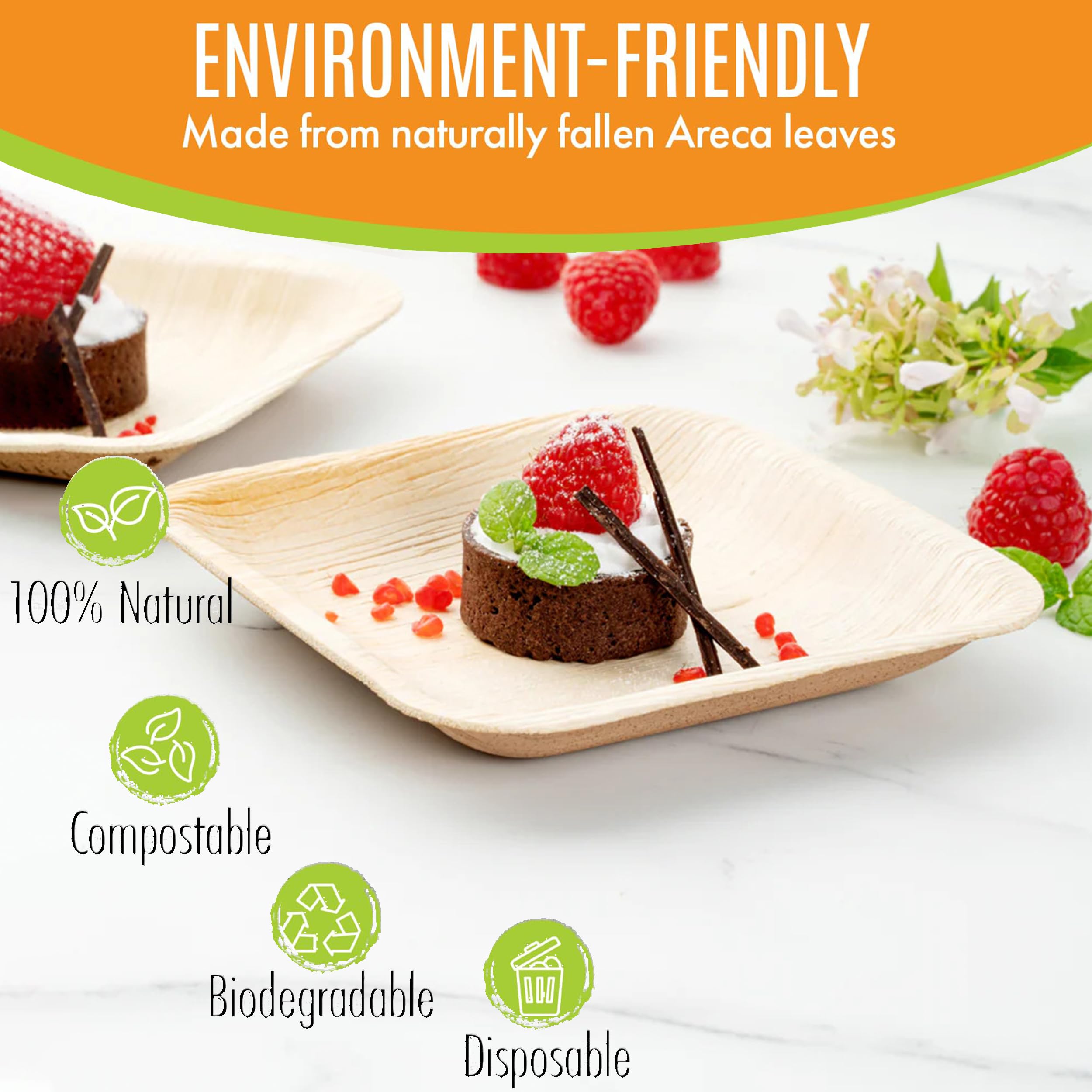 Eco-Friendly 6