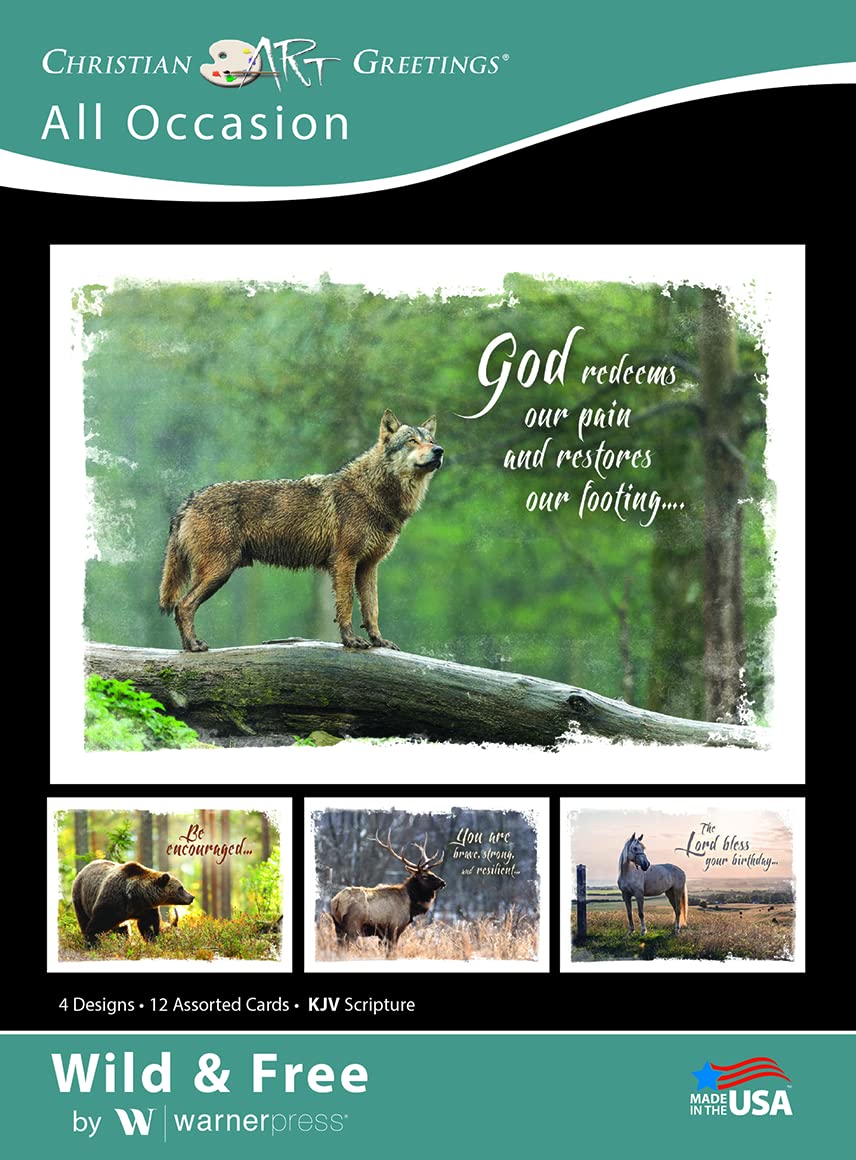 Wild and Free Christian Greeting Cards Assortment Box - 12 KJV Bible Verse Scripture Cards with Envelopes for All Occasions | Perfect for Birthdays, Weddings, Holidays & Inspirational Gifts