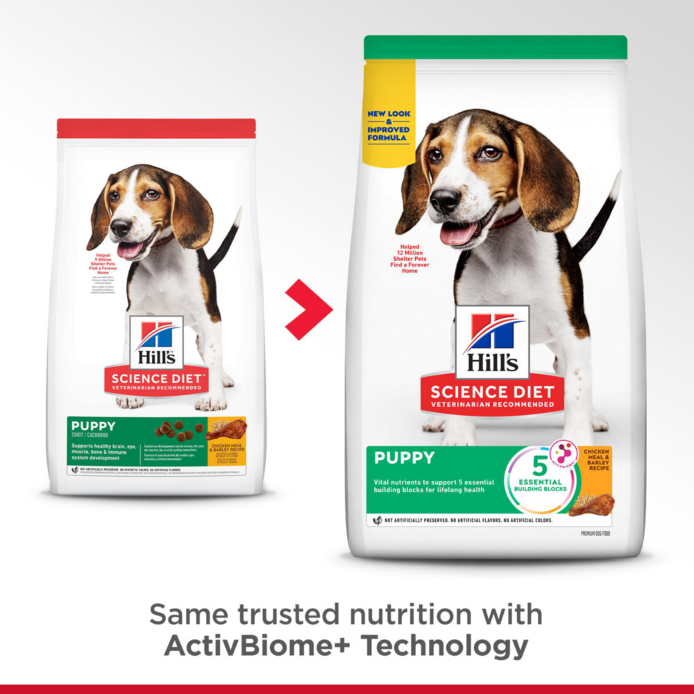 Hill's Science Diet Puppy Dry Dog Food - Chicken Meal & Barley Recipe for Small & Medium Breed Puppies | High Protein Puppy Food for Growth & Development | Perfect for Active Puppies at Home or Outdoor Adventures