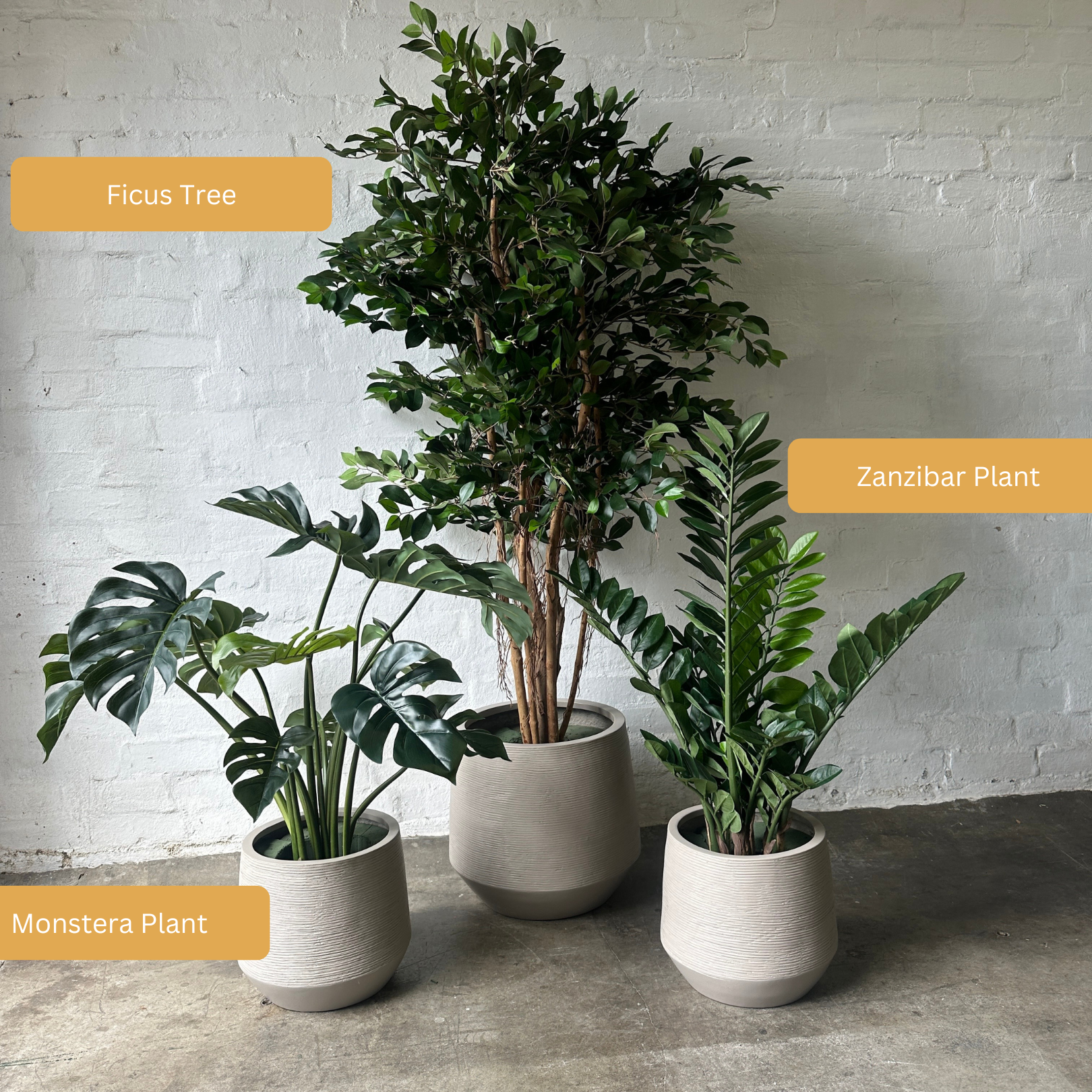 Premium Artificial Zanzibar Plant - Lifelike Fake Zanzibar Bush for Home & Office Decor - Perfect for Living Room, Bedroom, Balcony, and Indoor Spaces