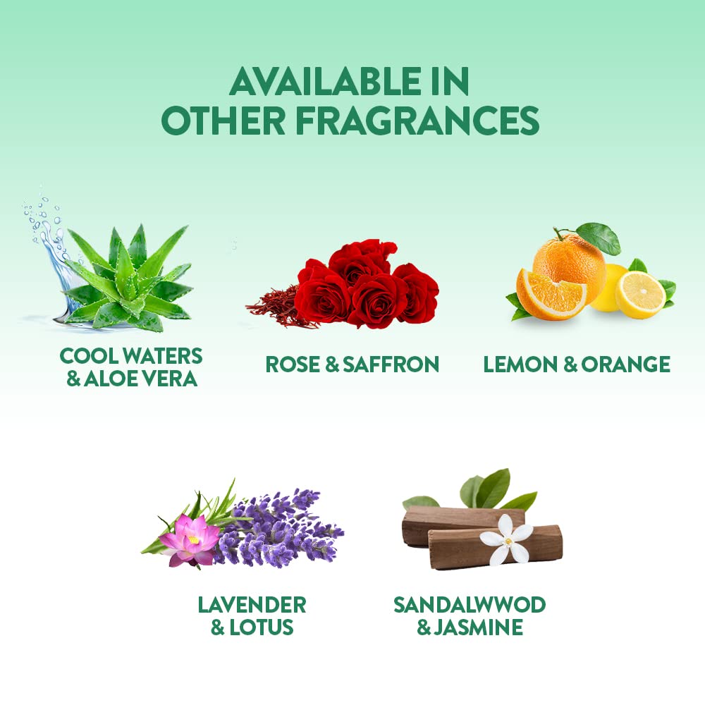 Air Wick Room Freshener Spray - 8.3 oz (245 ml) Rose & Saffron Scent | Long Lasting Air Freshener for Home, Bathroom & Office | Eliminates Odors | Perfect for Living Rooms, Bedrooms & Small Spaces