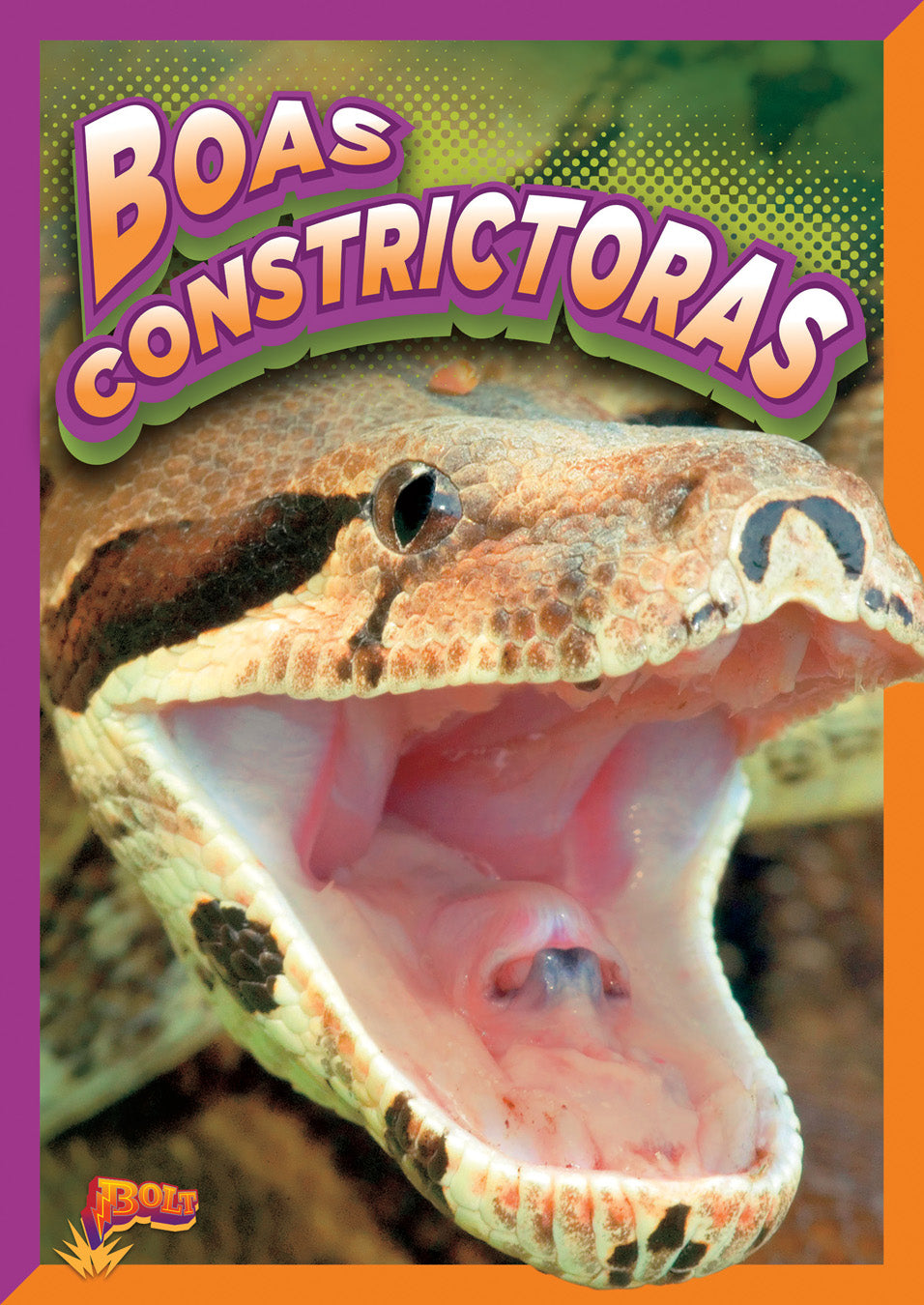 Live Boa Constrictor Snakes for Sale - Exotic Pet Reptiles for Enthusiasts & Breeders - Perfect for Terrariums, Educational Displays & Reptile Collections