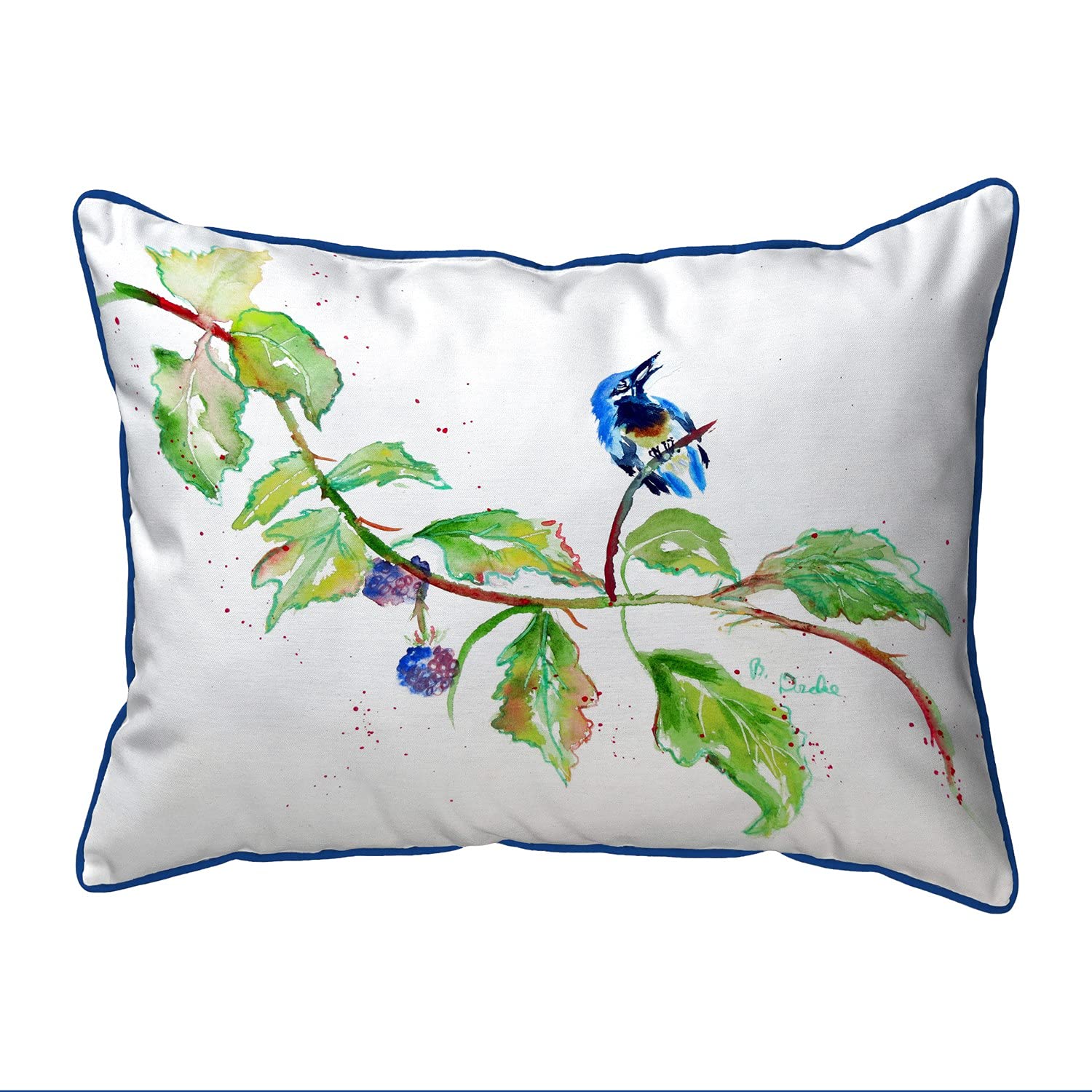 Betsy Drake ZP1072 Decorative Throw Pillow 20x24 Inches - Multi Color Soft Cushion for Sofa, Bed, Living Room & Home Decor