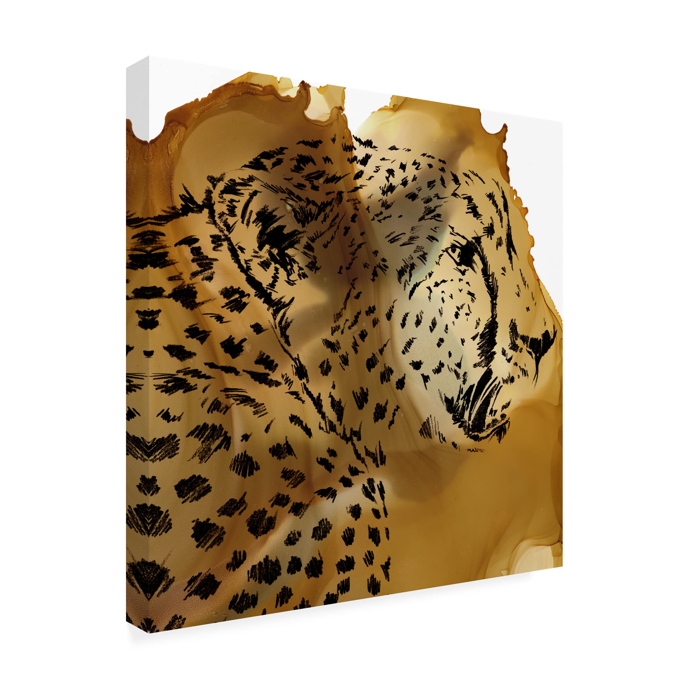 Trademark Fine Art 'Leopard Portrait II' Canvas Wall Art by Jennifer Paxton Parker - Stunning Wildlife Decor for Living Room, Bedroom & Office