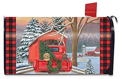 15 - Winter Puppy