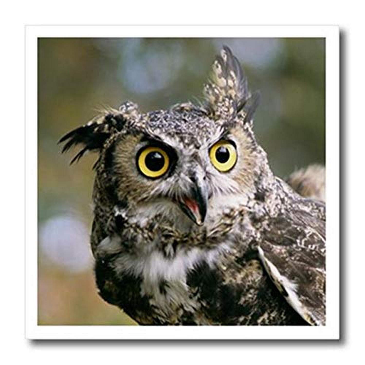 3D Rose USA-Montana-Kalispell Horned Owl Heat Transfer Iron On Patch - 8x8 Inch White Fabric Decal for DIY T-Shirts, Bags & Home Decor