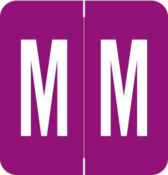 VRAM Series File Folder Labels - Letter M, Purple, 250/Roll for Medical Records