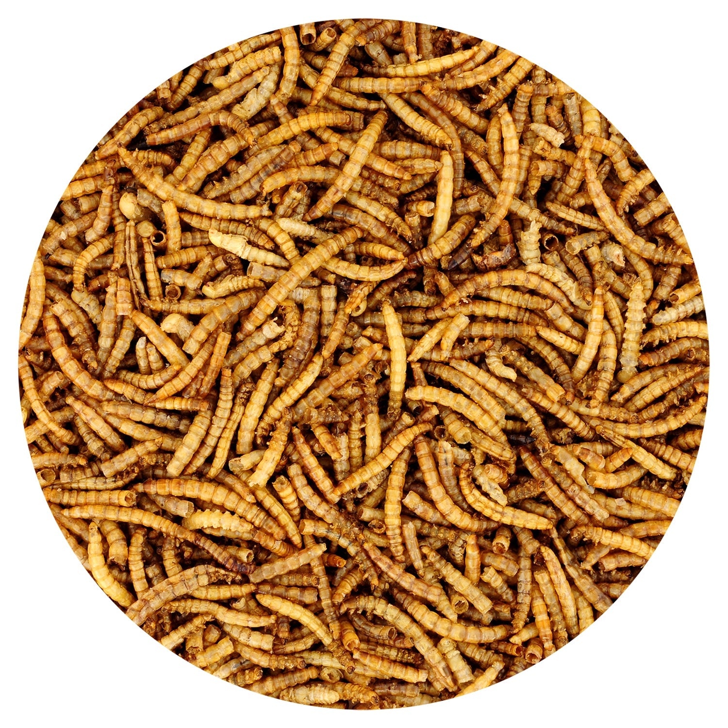 Premium Dried Mealworms 1 lb - High Protein Natural Bird & Reptile Food - Perfect for Wild Birds, Chickens, Fish Bait & Pet Treats