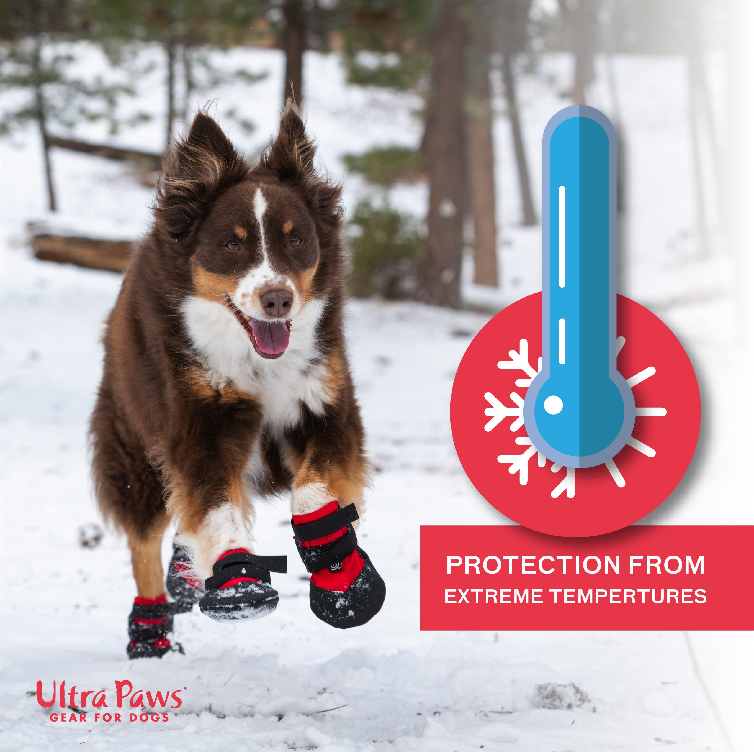 Durable Dog Boots for Medium Dogs - Heat & Water Resistant Paw Protectors for Hot Pavement | Size 5 | Perfect for Walking, Hiking & Outdoor Adventures