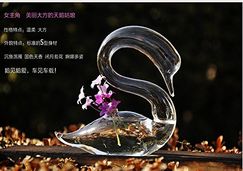 1 Pair Swan-Shaped Clear Glass Flower Vase - Elegant Home Decor for Valentine's Day, Wedding Centerpiece & Romantic Gift Idea
