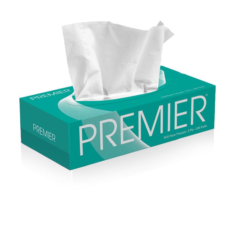 Premium 2-Ply Facial Tissues Box - 100 Pulls per Box (4-Pack, 400 Pulls Total) | Soft & Strong for Home, Office & Travel Use | Gentle on Skin | Bulk Tissue Paper Supply
