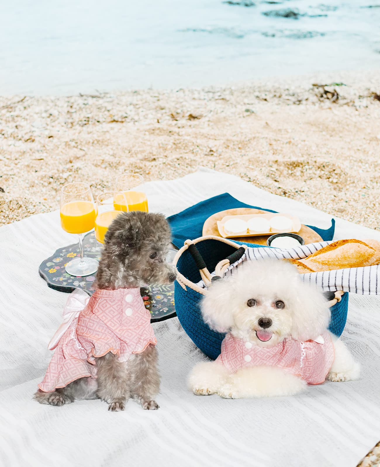 Soft Breathable Summer Dog Princess Dress for Small & Medium Dogs - Pink XS | Perfect for Pet Parties, Photo Shoots & Special Occasions