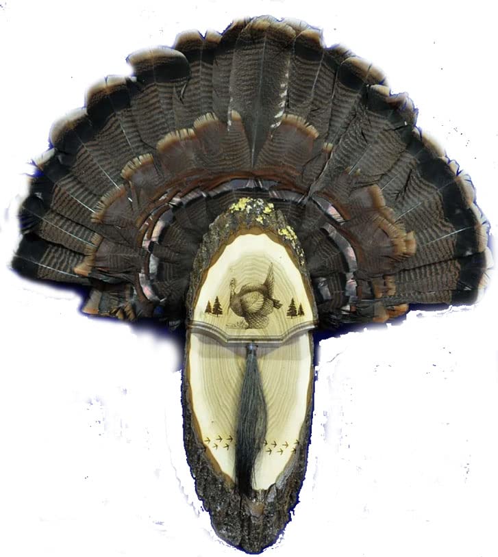 Premium Turkey Fan Mounting Kit - One of a Kind Turkey Fan and Beard Display for Hunting Trophies | Perfect for Wall Mounting, Cabin Decor, and Hunting Lodge Displays