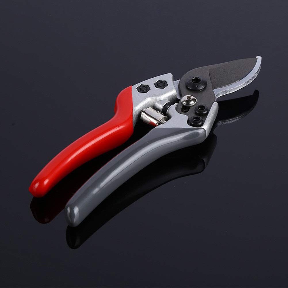 Premium Gardening Pruning Shears for Effortless Cutting - Heavy Duty Floral & Fruit Tree Branch Cutter - Perfect for Garden Trimming, Landscaping, and DIY Plant Care