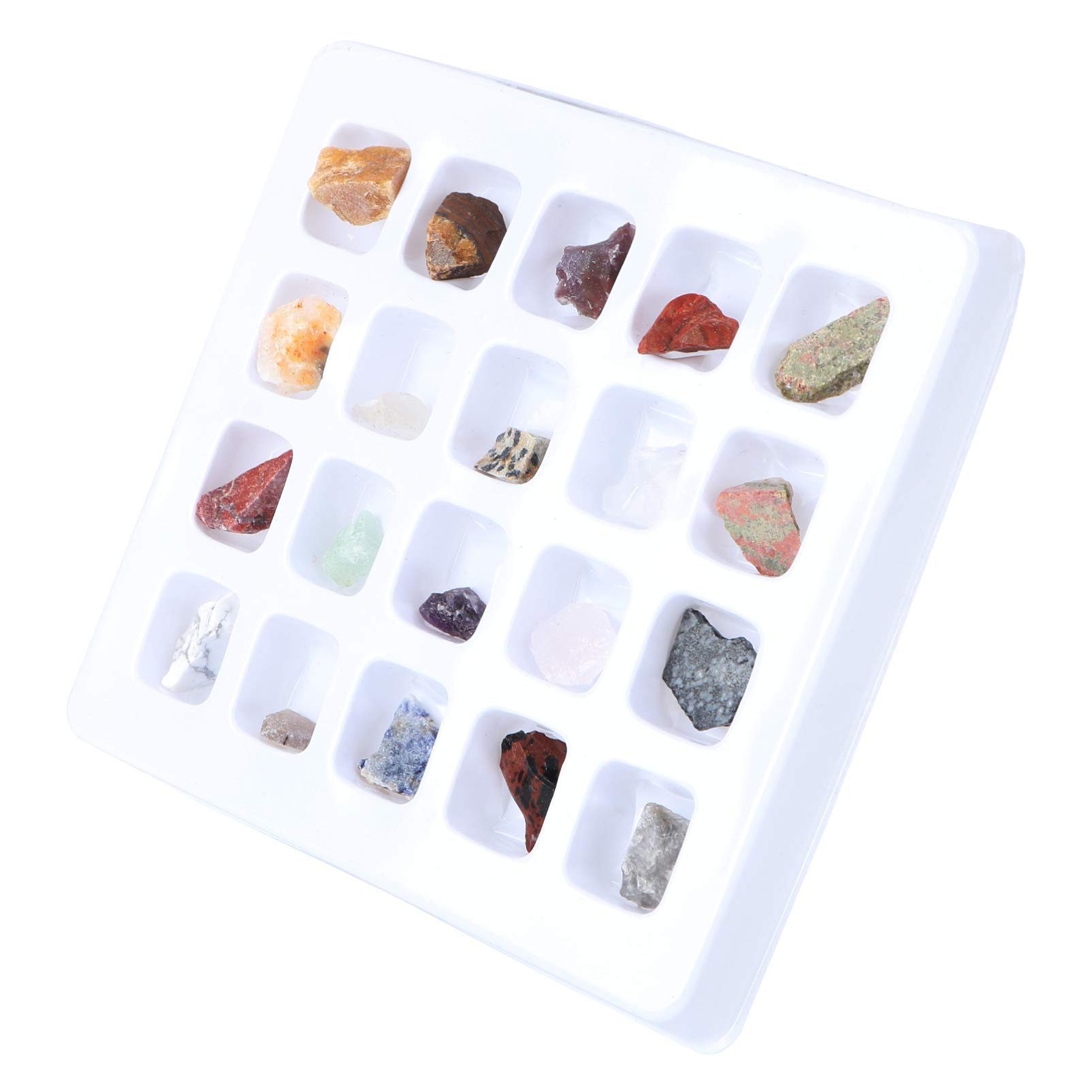 TOYANDONA 1 Box Rock and Mineral Collection - Geology Gem Kit with Display Case, Science Educational Toys for Kids | STEM Learning, Classroom Teaching, Birthday Gifts & Home Decor