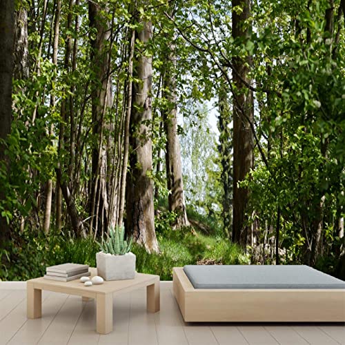 Nature Path 3D PVC Peel and Stick Wallpaper - Self-Adhesive Wall Mural for Bedroom & Study Room - 78