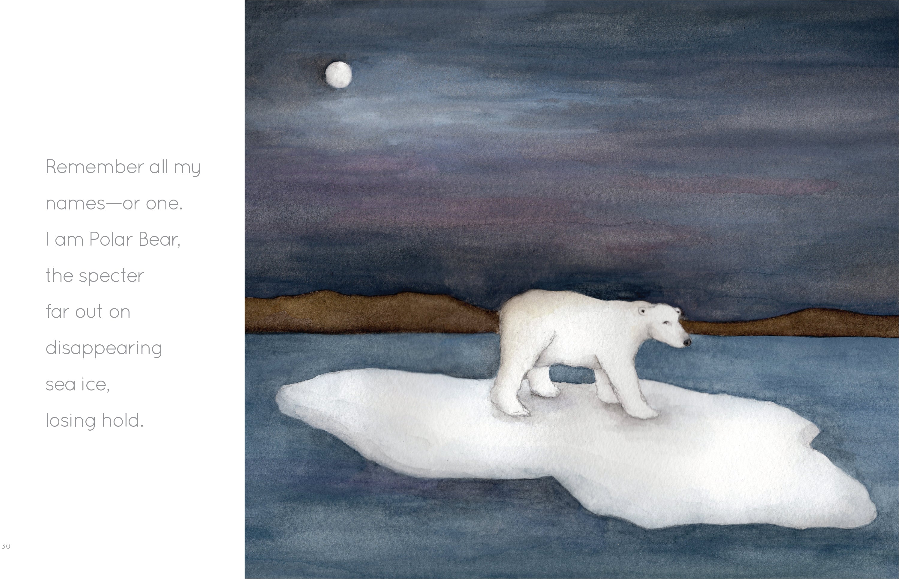 Polar Bear Book - I Am Polar Bear (ISBN 9781568463322) - Perfect for Kids' Bedtime Stories & Wildlife Education
