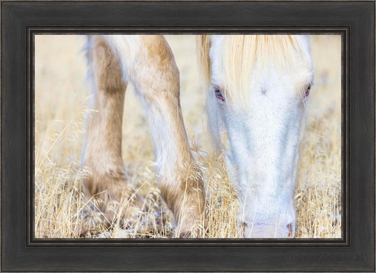 Dry Grass by Greg Sargent - Premium Handcrafted Home Decor for Rustic & Farmhouse Style - Perfect for Wall Art, Shelf Displays & Cozy Living Room Decor