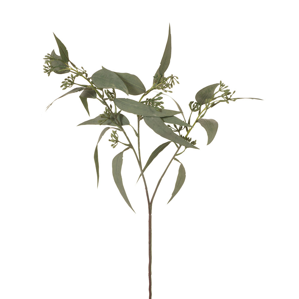 Fresh Seeded Eucalyptus Stems - Natural Dried Flowers for Home Decor, Wedding Bouquets & DIY Crafts | Perfect for Rustic Centerpieces, Floral Arrangements & Aromatherapy