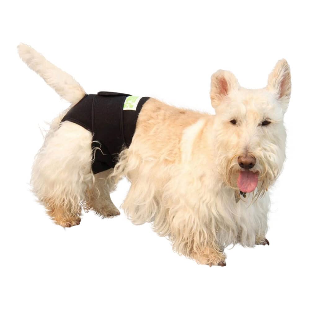 Healers Small Dog Diaper & Therapeutic Wrap for Incontinence - Comfortable Pet Belly Band for Male/Female Dogs - Perfect for Post-Surgery Recovery, House Training & Senior Pets