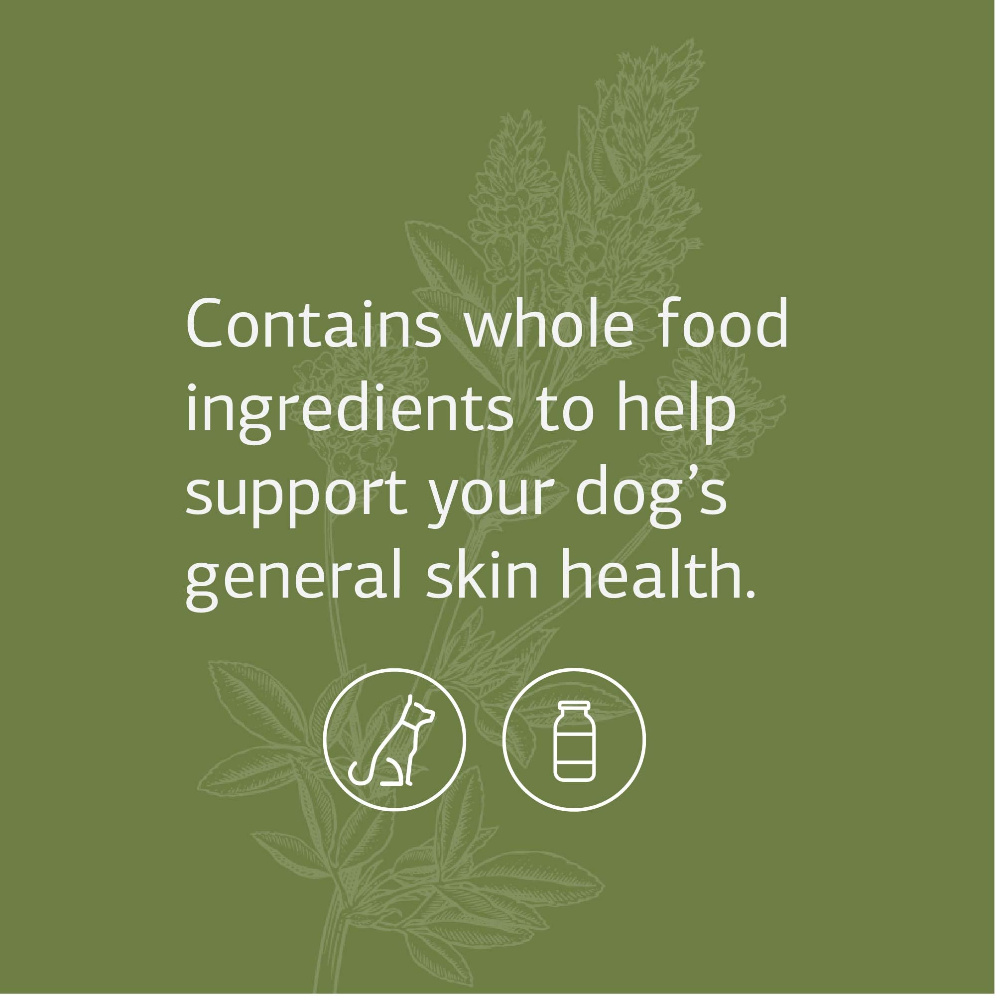 Standard Process Canine Dermal Support Dog Supplement - Skin & Adrenal Gland Health Powder for Daily Immune & Liver Support - 125g for Itchy Skin & Coat Care - Perfect for Dogs with Allergies & Dermatitis