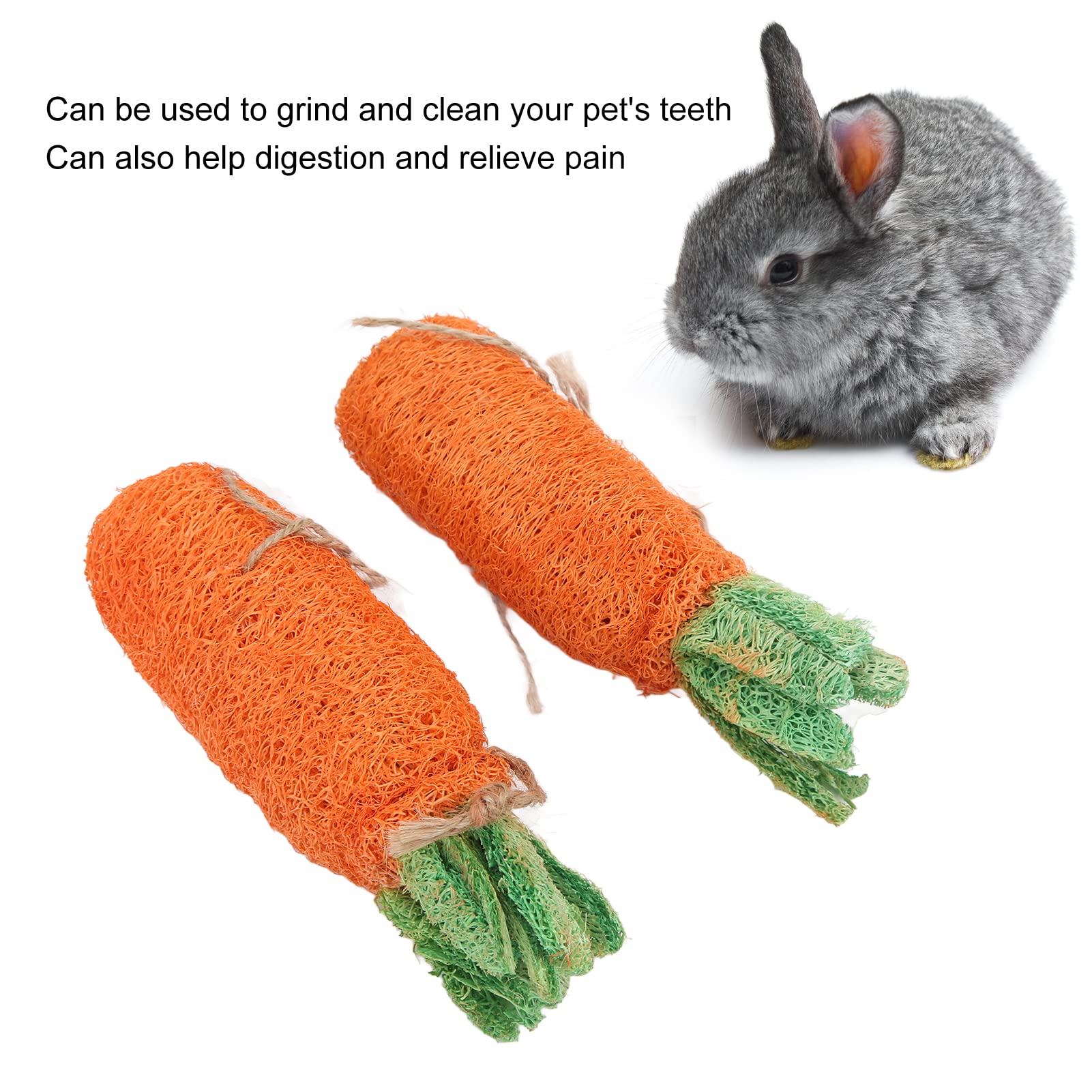 Natural Loofah Rabbit Chew Toys for Small Animals - 2 Pack Dental Treats for Teeth Grinding - Perfect for Bunnies, Guinea Pigs & Hamsters - Promotes Healthy Teeth & Stress Relief