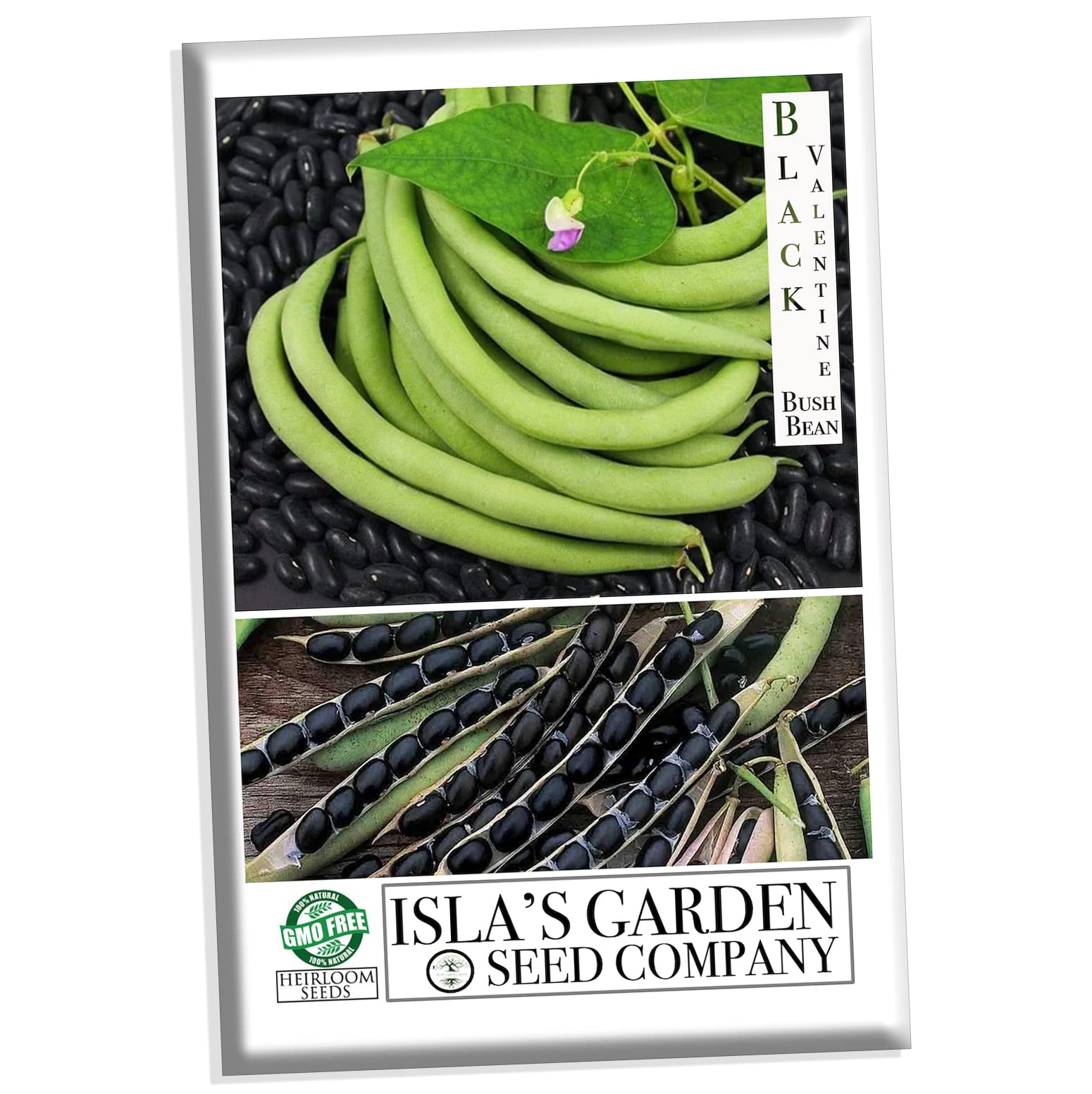 Heirloom Black Valentine Bush Bean Seeds - Non-GMO Phaseolus Vulgaris (50+ Seeds Per Packet) by Isla's Garden Seeds - Perfect for Home Gardening, Vegetable Patches & Organic Farming