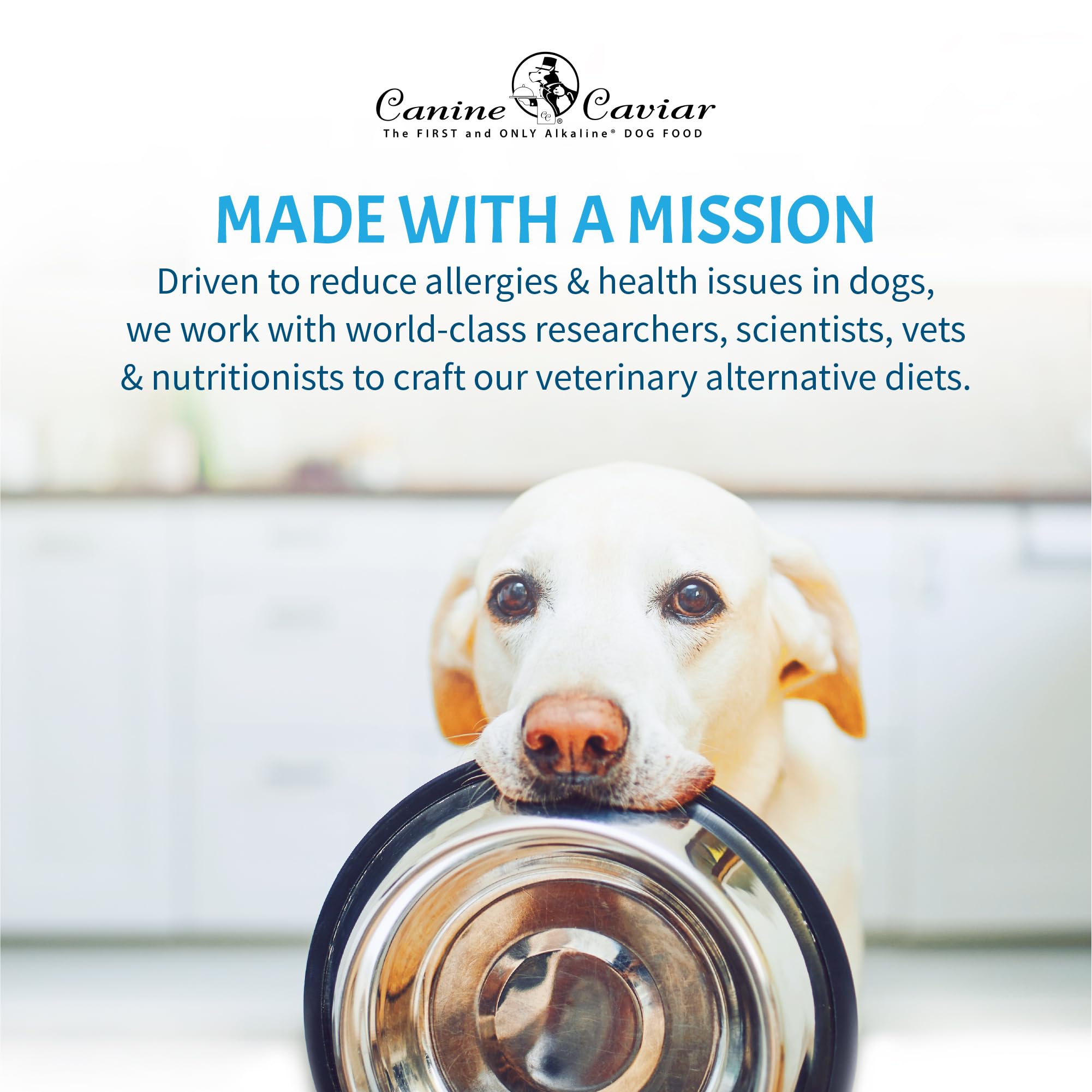 Canine Caviar Free Spirit Chicken & Pearl Millet Alkaline Dry Dog Food - Limited Ingredient, Gluten-Free Formula | Science-Backed Veterinary Alternative Diet for Dogs (22lb Bag) - Perfect for Sensitive Stomachs & Allergies