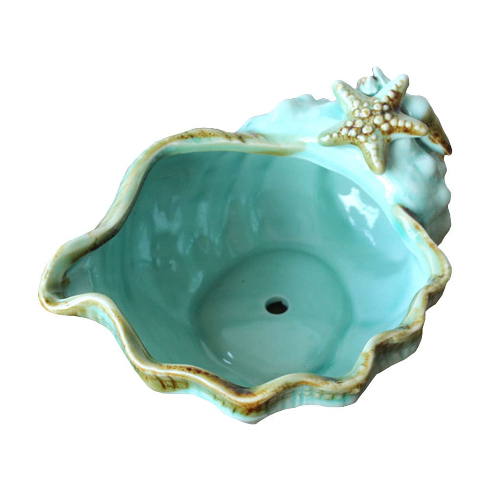BESPORTBLE Creative Ceramic Conch Pot - Elegant Flower Planter for Indoor Plants, Bonsai, Succulents - Perfect for Home Decor, Office Desk & Gardening Gifts