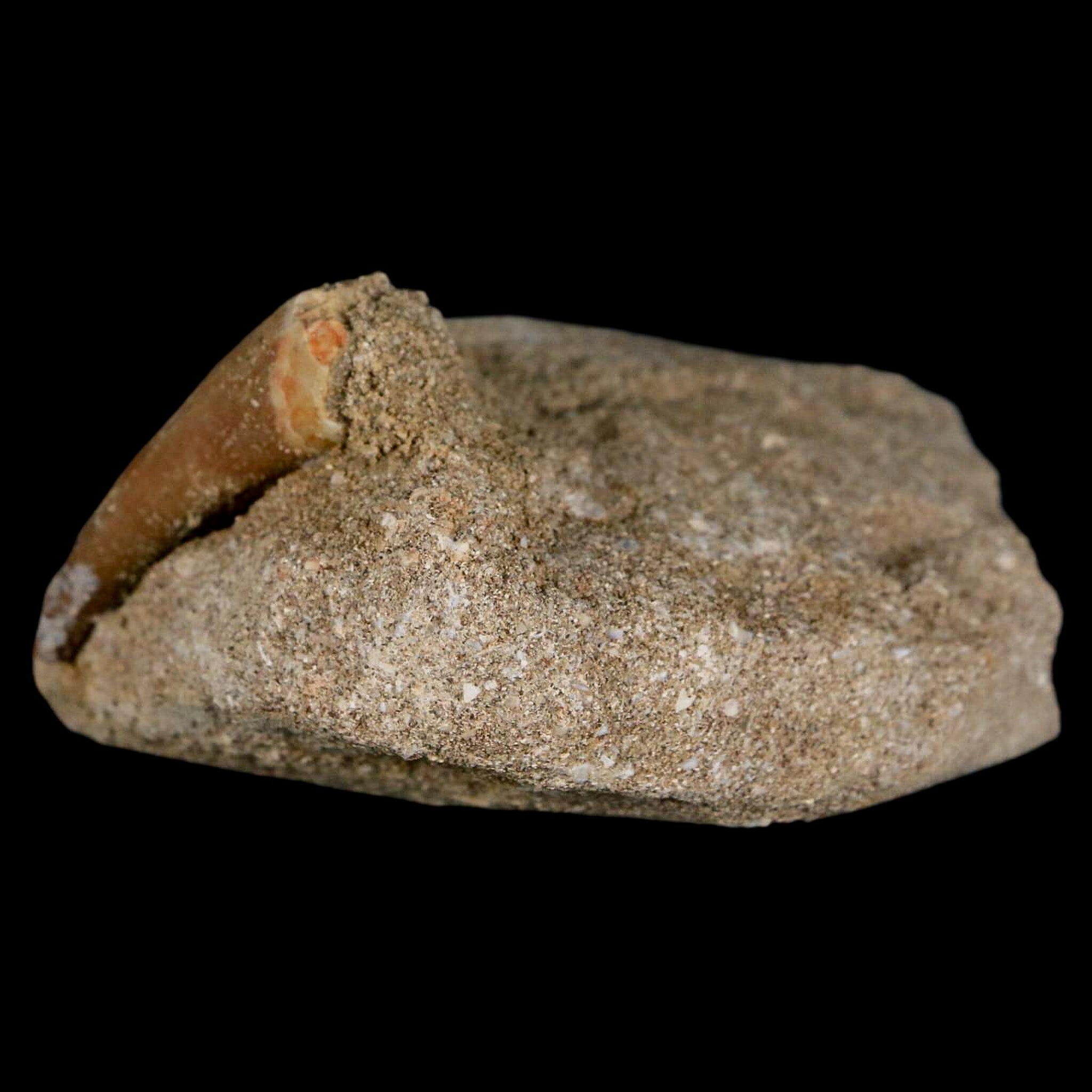 1.6